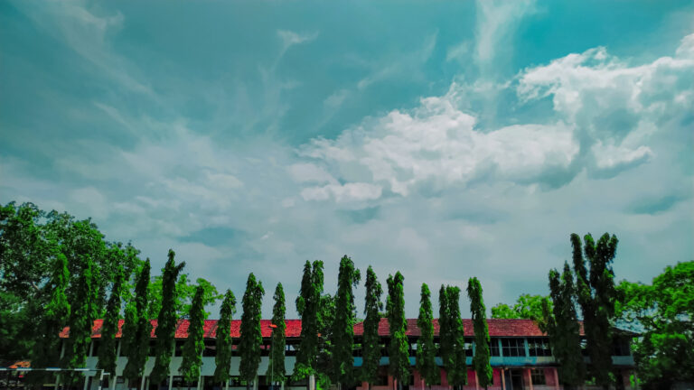 IMG_20220512_110845-02